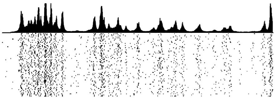 Statistical Modeling and Analysis of Neural Data, Spring 2018